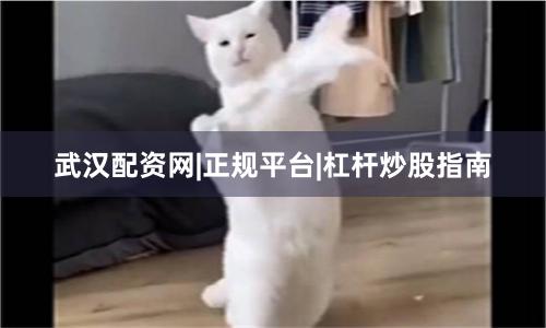 武汉配资网|正规平台|杠杆炒股指南