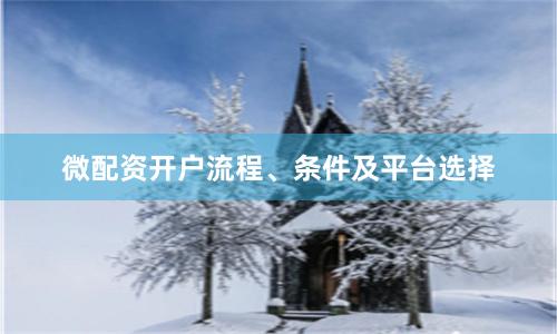 微配资开户流程、条件及平台选择