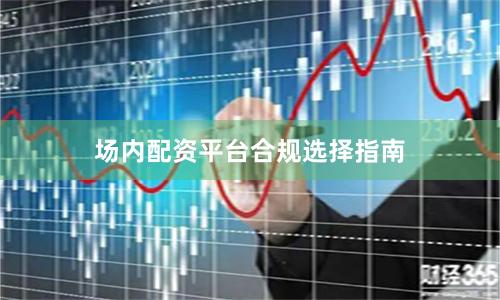 场内配资平台合规选择指南